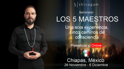 5 Maestros ✧ Una experiencia. Cinco caminos de consciencia